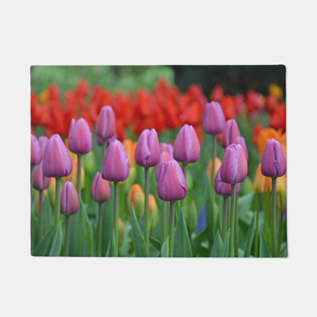 Tapete Tulipas de primavera púrpura (Frente)