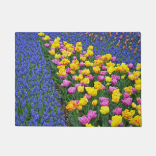 Tapete Tulipas e bluebells do primavera