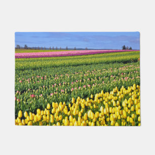 Tapete Tulipas primavera coloridas