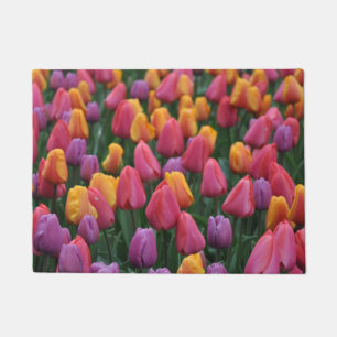 Tapete Tulipas primavera coloridas