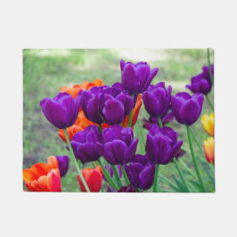 Tapete Tulipas roxas escuras num dia ensolarado no jardim