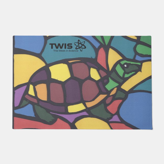 Tapete TWIS #blairsanimalquine Box Turtle Doormat  (Frente)