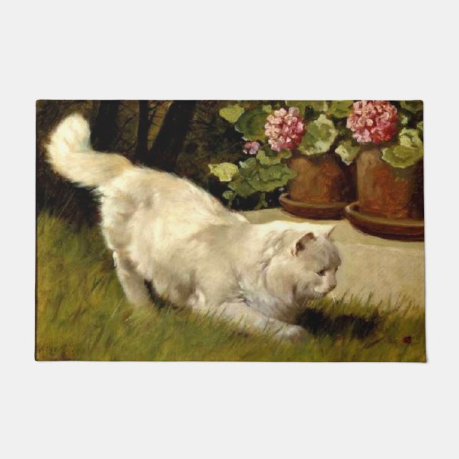 Tapete Um Gato Persa Branco Observando Ladybug (Frente)