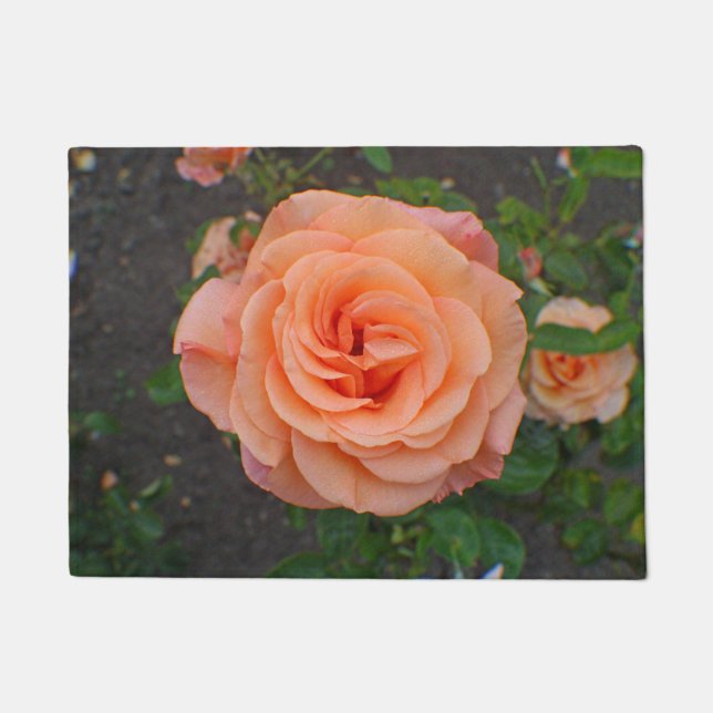 Tapete Uma Única Flor de Laranja (Frente)