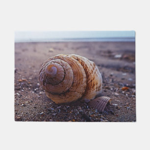 Tapete Uma vista macro de Shell espiral