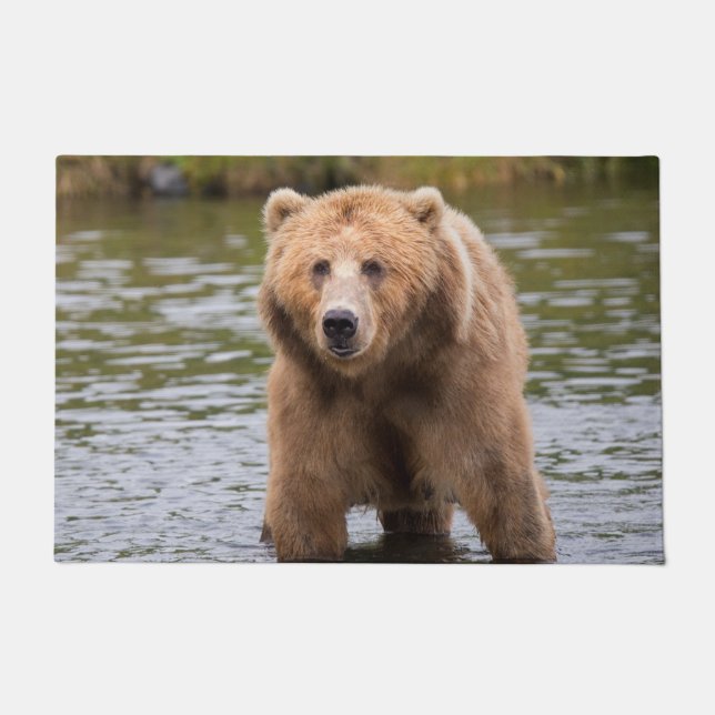 Tapete Urso castanho-branco-gordo (Frente)