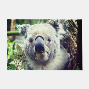 Tapete Urso Koala