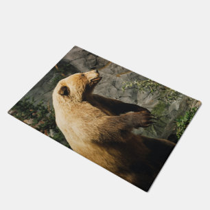 Tapete Urso Ordenado