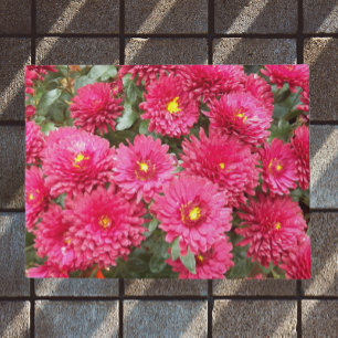 Tapete Vermelho Crítico Floral