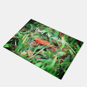 Tapete Vermelho Eft Laranja Salamandra Natureza 1 