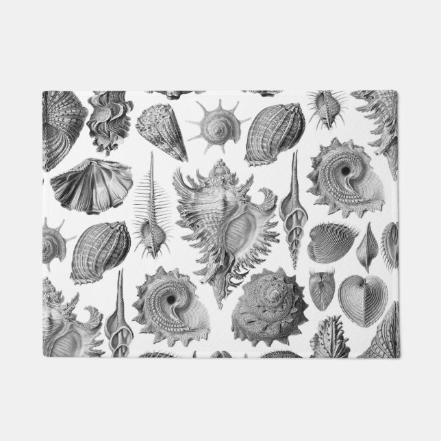 Tapete Vintage Seashells (Frente)