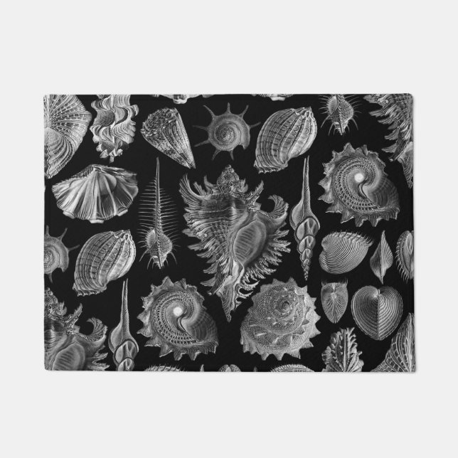 Tapete Vintage Seashells Black (Frente)