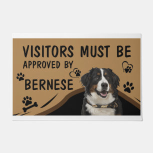 Tapete Visitante Deve Ser Aprovado Por Springer Bernese