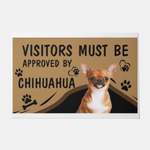 Tapete Visitante Deve Ser Aprovado Por Springer Chihuahua
