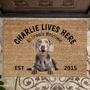Tapete Weimaraner Personalizado Portão do Cão