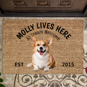 Tapete Welsh Corgi Personalizado Portão do Cão