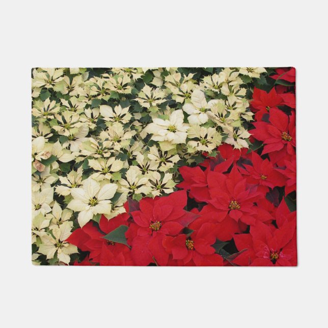 Tapete White e Red Poinsettias I Feriado Floral (Frente)