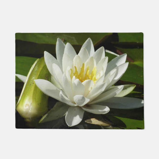 Tapete White Waterlily e Bud Floral (Frente)