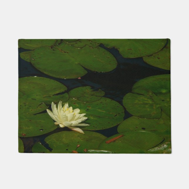 Tapete White Waterlily I Peaceful Floral Fotografia (Frente)