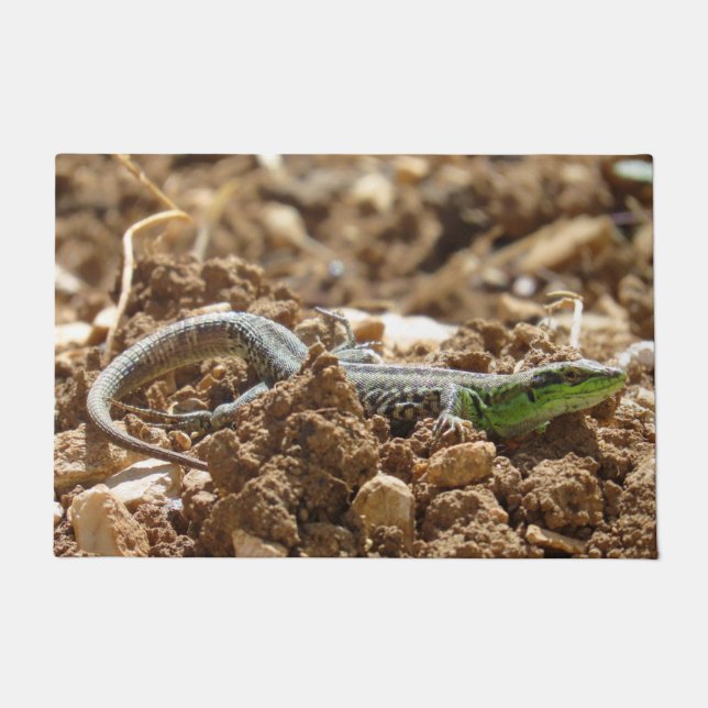 Tapete Wild Lizard Nature Fotografia Rustic (Frente)