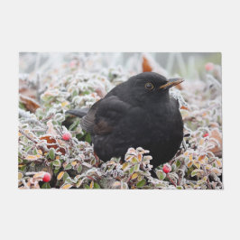Tapete Winter Blackbird