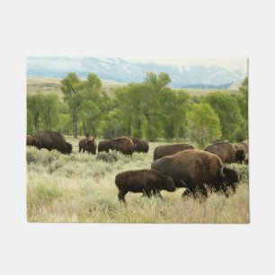Tapete Wyoming Bison Nature