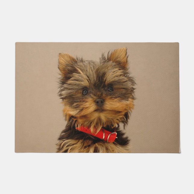 Tapete Yorkshire Terrier Puppy (Frente)