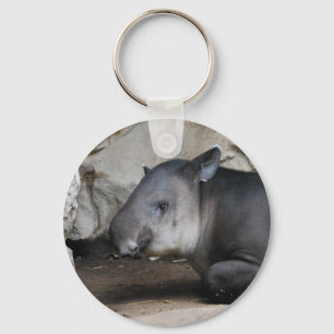 Tapir Chaveiro