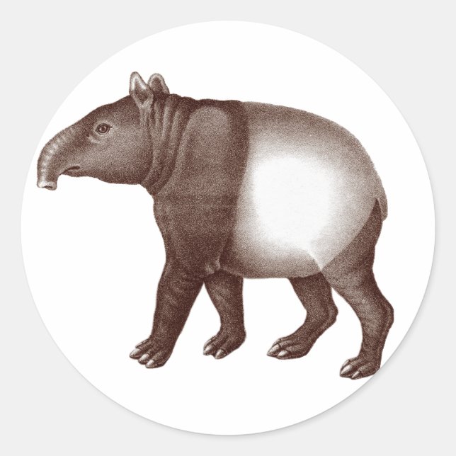 Tapir Malaio/Tapir Asiático - Adesivos (Frente)
