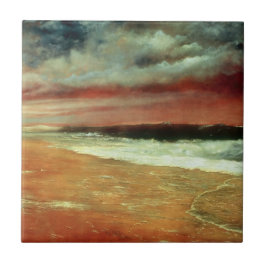 Tarde da tarde pelo Mar - Joaquín Clausell