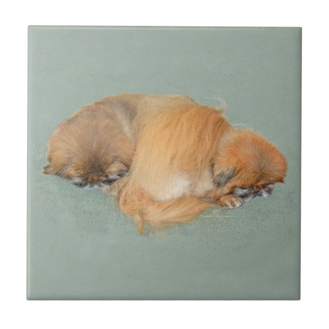 Tarde Sonolenta (Frente)