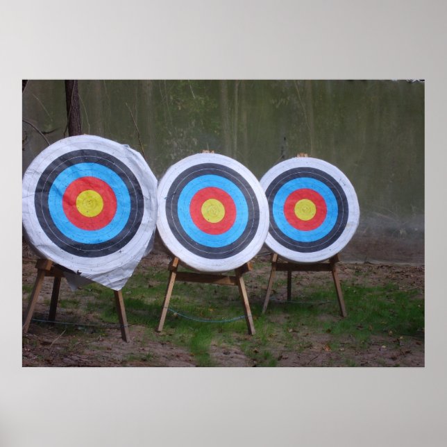 Target Practice Poster (Frente)