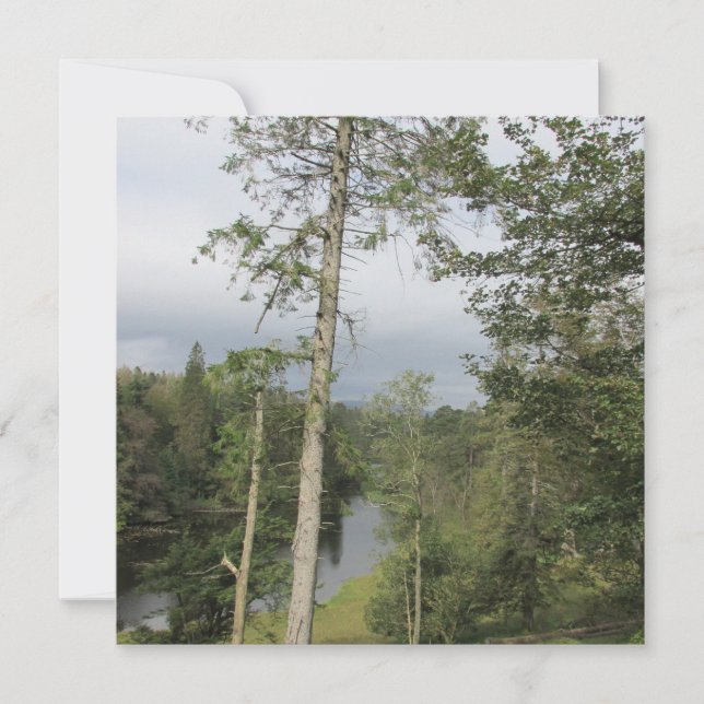 Tarn Hows Trees Flat Greeting Card (Frente)