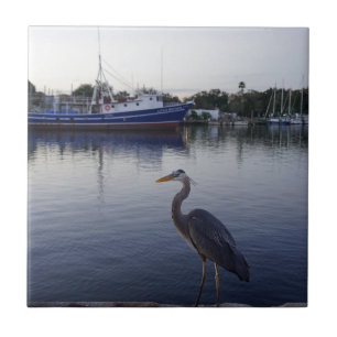 Tarpon Springs