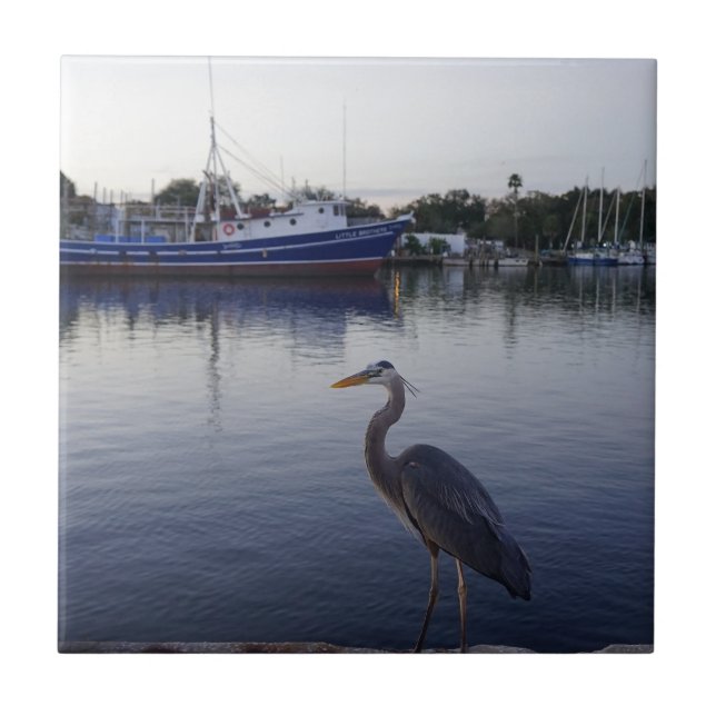 Tarpon Springs (Frente)