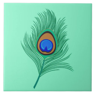 Tarquuise Peacock Feather sobre Aqua Luz