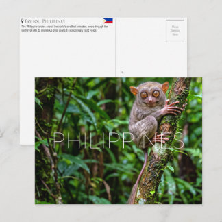 Tarsier em Bohol, Filipinas Cartão Postal de Viage