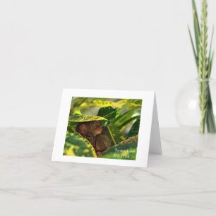 Tarsier no Cartão de Nota de Bohol