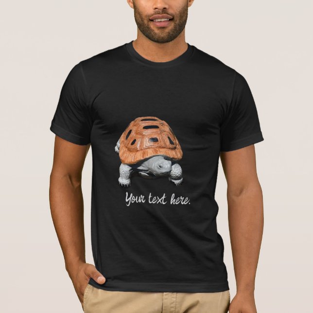 Tartaruga Caixa Pintada, Camisetas Personalizadas (Frente)