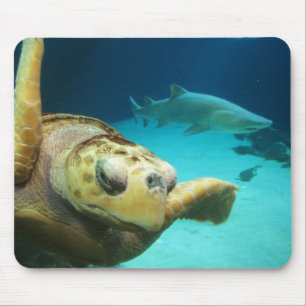 Tartaruga de mar e tubarão Mousepad