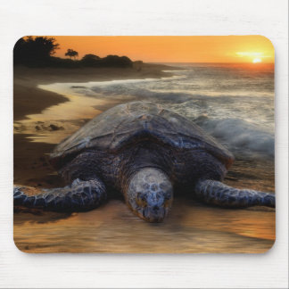 Tartaruga de mar Mousepad