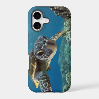 Tartaruga de mar verde havaiana
