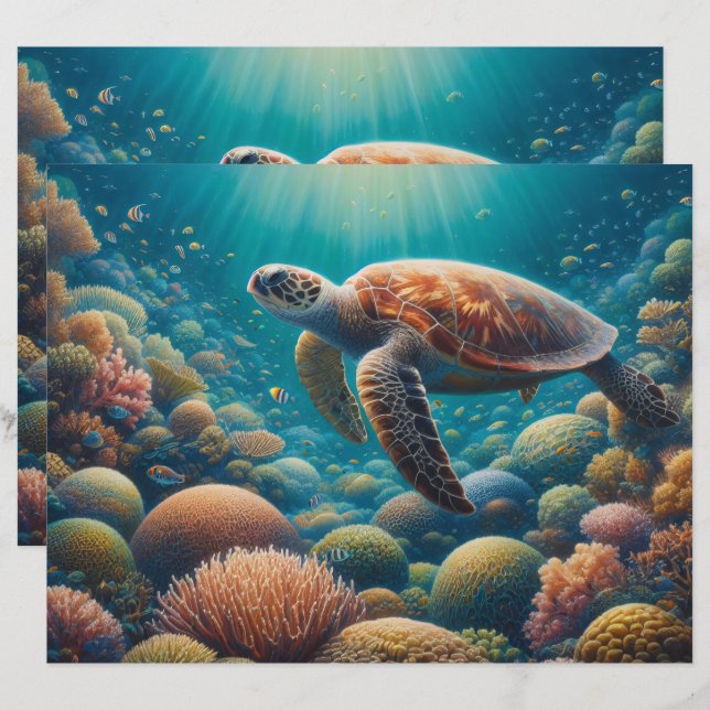 Tartaruga-do-mar e papel-sapato-de-coral (Frente/Verso)