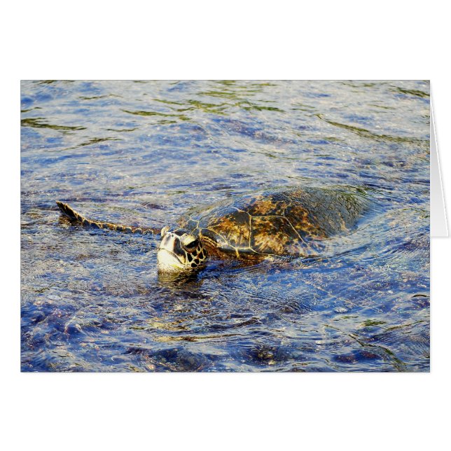 Tartaruga do Mar Verde, Havaí, Cartão (Frente Horizontal)