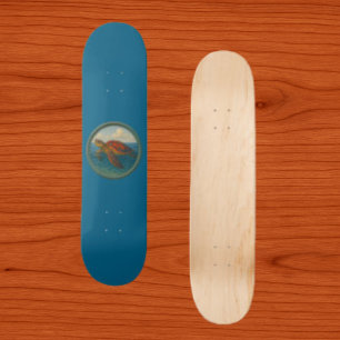 Tartaruga Marinha Skate Azul Oceano