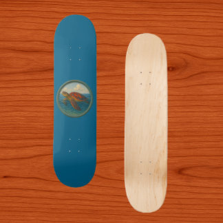 Tartaruga Marinha Skate Azul Oceano