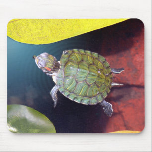 Tartaruga Mousepad da natação