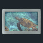 tartaruga no mar<br><div class="desc">tartaruga no mar</div>