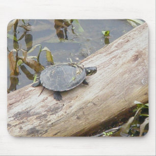 Tartaruga pintada bebê Mousepad