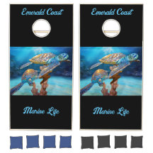 Tartarugas do mar, Costa do Esmeralda